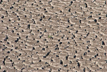 Land with dry and cracked ground. Desert, Global warming backgroundの写真素材