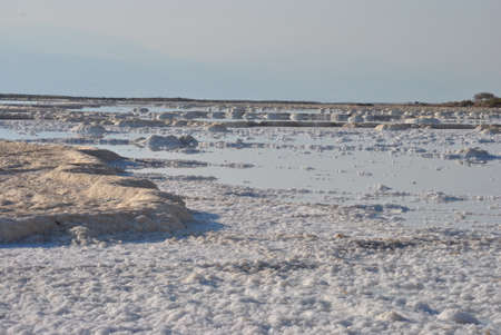 Dead Sea shore. Minerals and salt. Salt crystals at dawn. Texture of Dead sea. Salty sea shore...