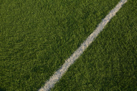 Field of fresh green grass texture as a background, top close up view, Soccer green grass as a banner backgroundの写真素材