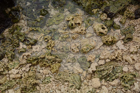 A kurkar sandstone formations close up. Mediterranean sea coastline