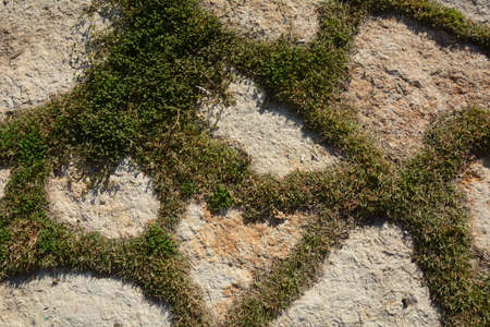 Stone pathway in the park. Stone path made from a pebble. Path  with green grass between the...