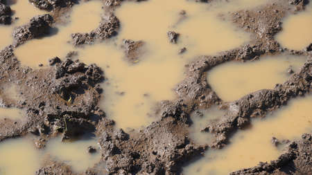 A way in the mud and puddles on the dirty road. Mud puddles after rain, dirty ground.