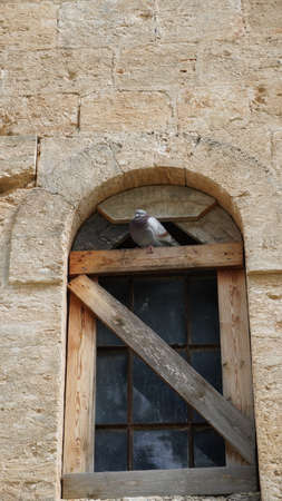 Old boarded-up window of abandoned building.の写真素材