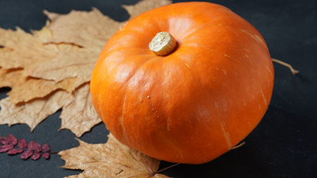 Autumn still life with pumpkin and dry leavesの写真素材