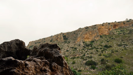 Landscape in Nahal (creek) Oren, at the west side of Mount Carmelの写真素材