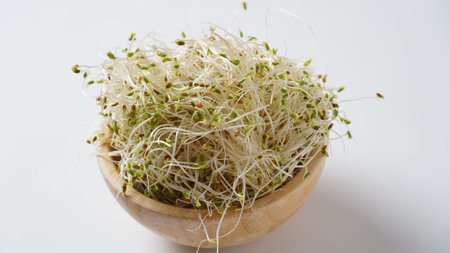 Organic alfalfa sprouts plant healthy food in wooden bowlの写真素材