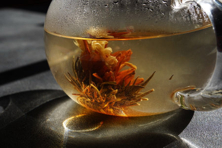 Teapot with blooming green tea in  the rays of the sunの写真素材