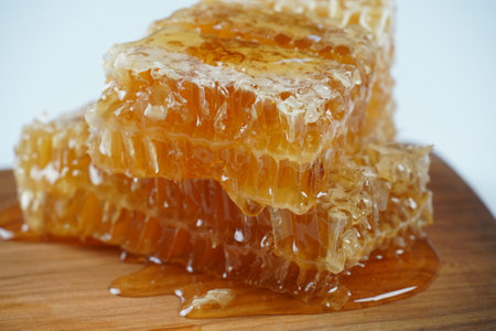 Composition with fresh honey comb and honeyの写真素材