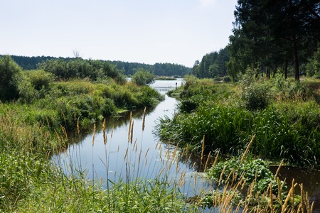 River Nerskaya River flows into Lake Russia 13.06.2016の写真素材
