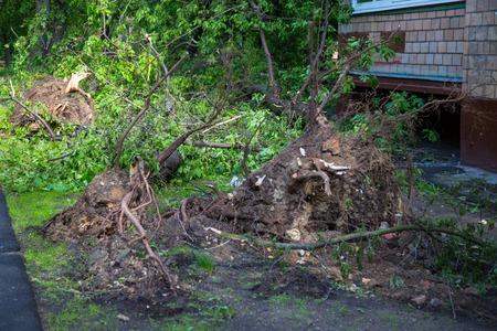 Hurricane in Moscowの写真素材