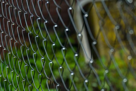 Grid fence slave after summer rain newの写真素材