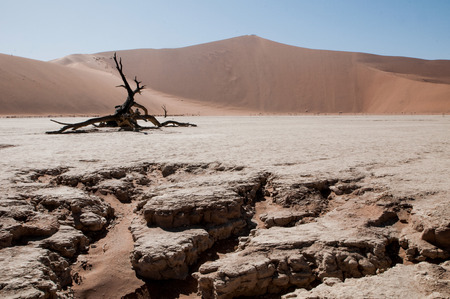 Namib desertの写真素材