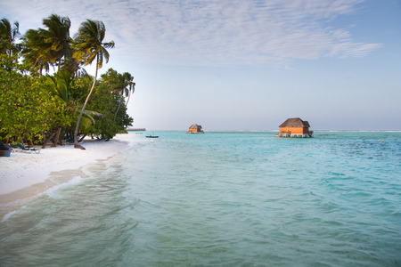 Paradise Iceland Beachの写真素材