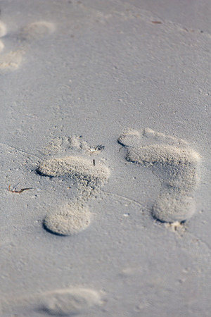 Footprints in the sandの写真素材