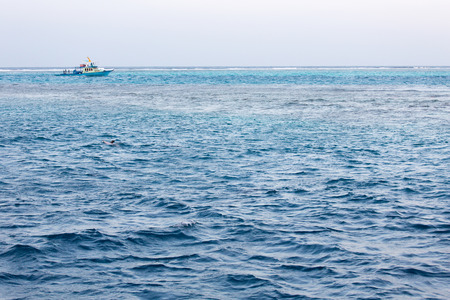 Meeru Maldives January 2015 Holidayの写真素材