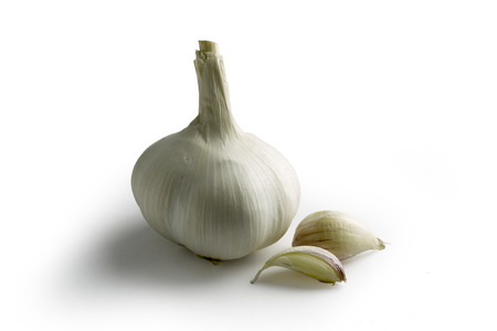 A very useful body of foodの写真素材