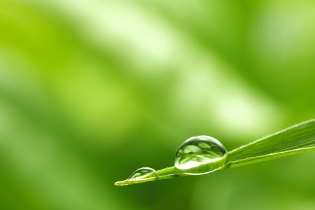green background with rain droplets , shot with very shallow depth of fieldの写真素材
