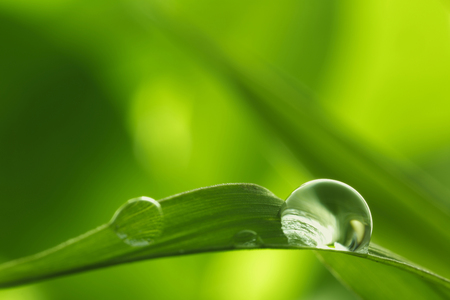 green background with rain droplets , shot with very shallow depth of fieldの写真素材