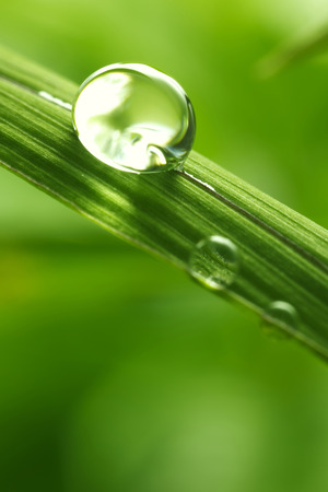 green background with rain droplets , shot with very shallow depth of fieldの写真素材