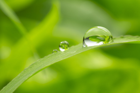 green background with rain droplets , shot with very shallow depth of fieldの写真素材
