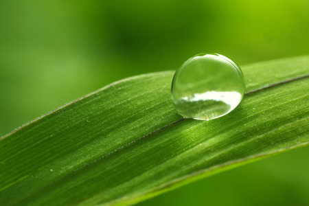 green background with rain droplets , shot with very shallow depth of fieldの写真素材