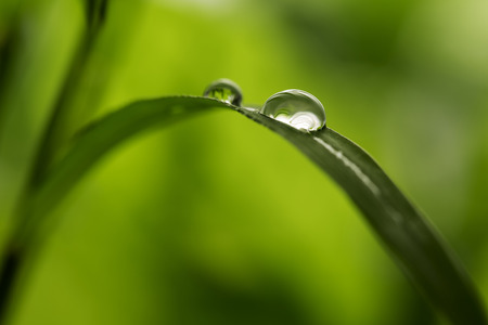 green background with rain droplets , shot with very shallow depth of fieldの写真素材