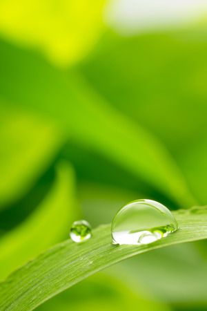 green background with rain droplets , shot with very shallow depth of fieldの写真素材