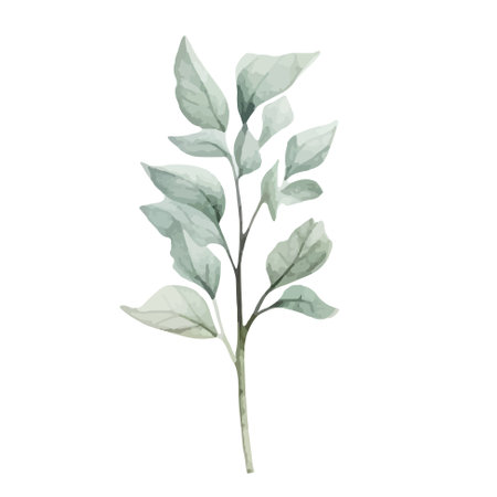 Watercolor pastel colored plant. Delicate watercolor plant for wedding invitations, posters. Vector botanical springtime.のイラスト素材