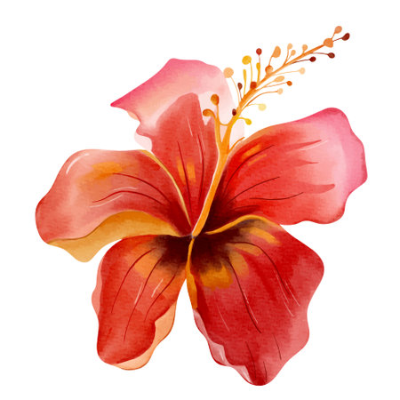 Watercolor tropical flower. Floral illustration. Exotic flower. Watercolor orchidのイラスト素材