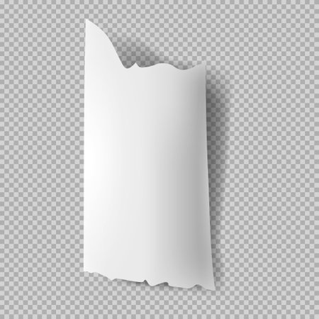 Realistic torn paper sheet. Ripped sheet of paper. Scrapbook edge, notebook tear or blank page.のイラスト素材