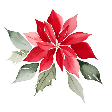 Watercolor Christmas flower. Poinsettia flower with leaves. Red flower illustrationのイラスト素材