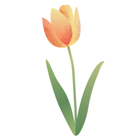 Spring flower in watercolor style. Delicate hand drawn tulip.のイラスト素材