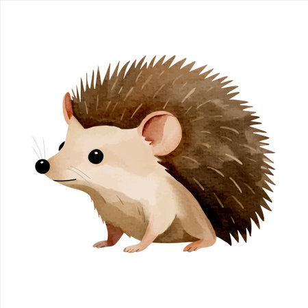 Cute little hedgehog in watercolor painting style. Woodland hedgehog. Watercolor hedgehog.のイラスト素材