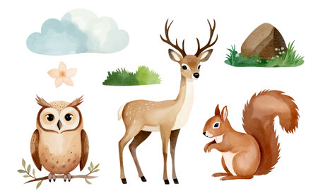 Set of hand drawn animals and forest elements. Reindeer, squirrel, owl. Watercolor woodland animals.のイラスト素材