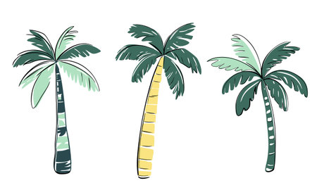 Summertime tropical doodles. Hand drawn palm trees. Exotic collection.のイラスト素材
