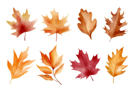 Golden autumn watercolor leaves, hand drawn clipart collection for inviting fall-themed creative projectsのイラスト素材