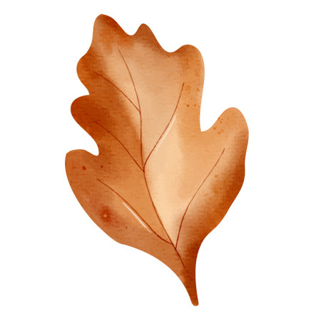 Watercolor autumn leaf. Hand painted fall foliage element for seasonal design, posters, cardsのイラスト素材