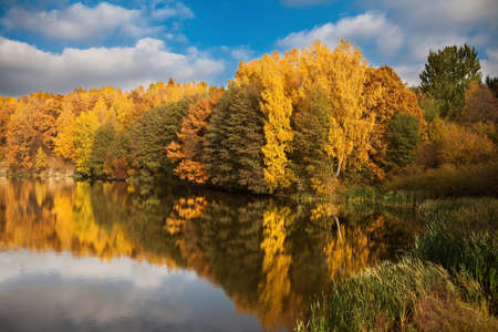 Lake shore with autumn trees and reflectionの写真素材