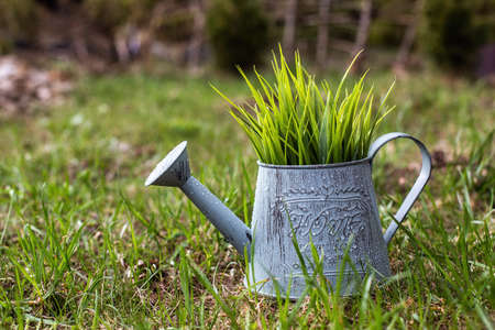 A watering can with a plant stands on the spring lawn in the yardの写真素材