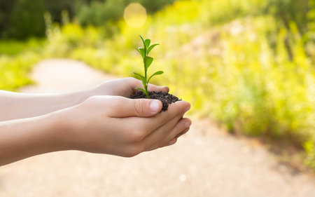 The child holds in his hands a handful of earth in which a sprout grows against a background of beautiful green and yellow bokeh. Sprout in the hands. environmental protection.の写真素材