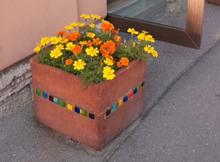 Square flower pot on city streetの写真素材