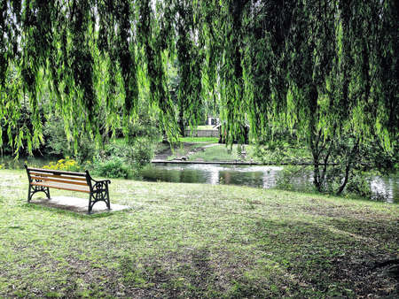 Bench under weeping willow tree opposite lakeの素材