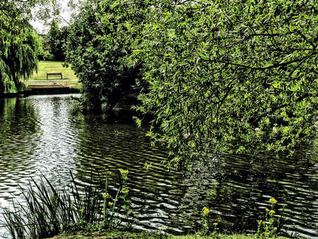 Rippling lake with overhanging treesの素材