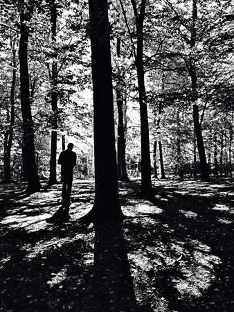 Black and white shot of man walking in shadowy woodsの素材