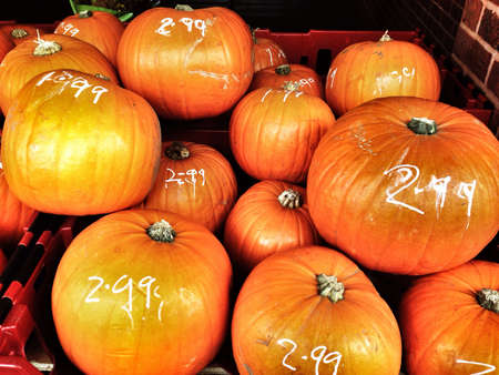 Pumpkins for saleの素材