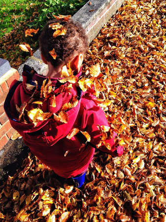 Boy playing in Autumn leavesの素材