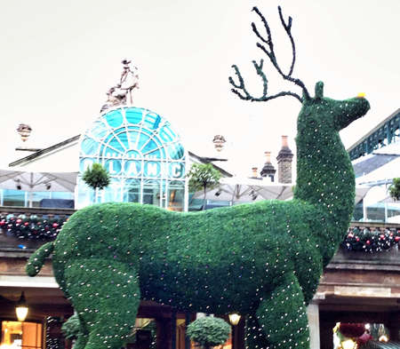 Covent garden Christmas reindeer decoration の素材