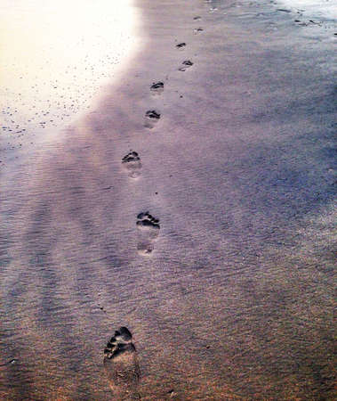 Footsteps in the sand at sunset on the beach Ghana の素材