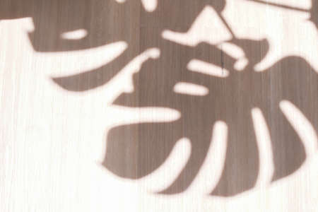 Abstract shadow of palm frondsの写真素材