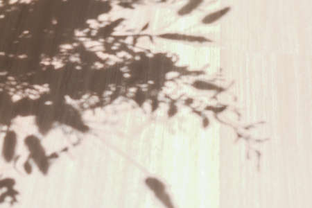 Abstract shadow of flowers